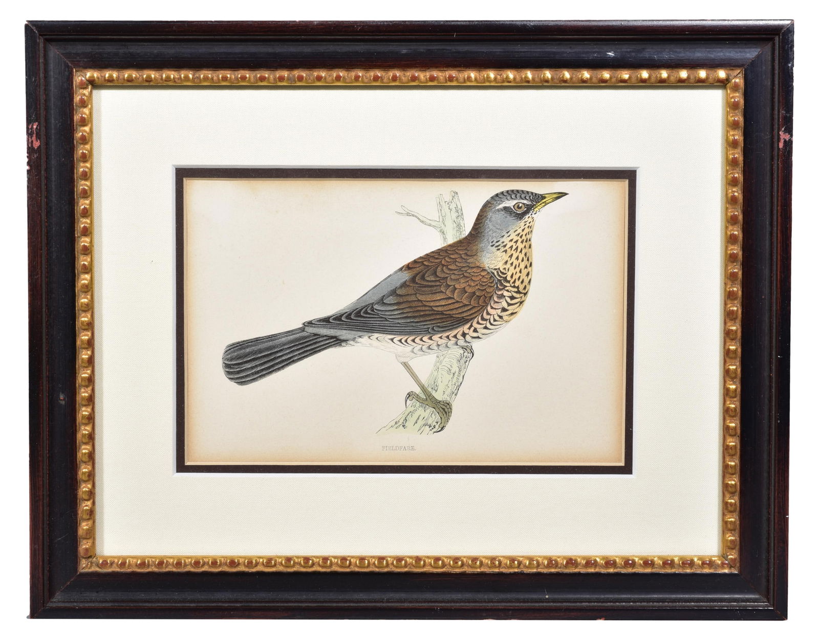 Francis Orpen Morris Original Hand Colored Wood Engraving by Benjamin Fawcett Circa 1860 (1 of 7)