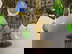 item-206755579=3
