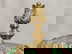 item-206755579=8