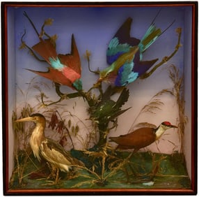 A Victorian Taxidermy Shadowbox Containing Five Birds