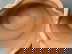 item-207267404=13