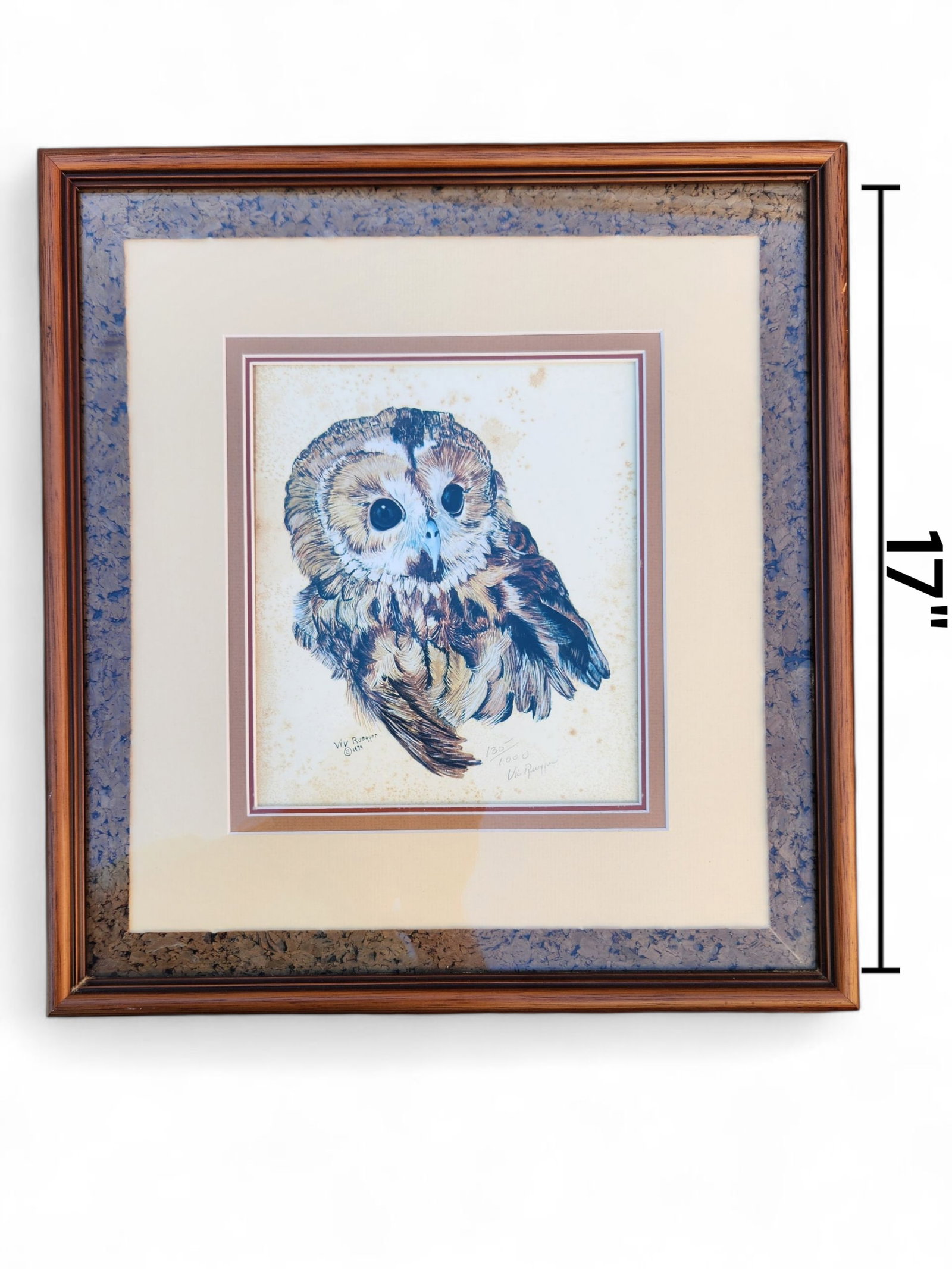 Tawny Owl Lithograph, Signed "ViV" Ruegger: Tawny Owl Lithograph, Signed "ViV" Ruegger. It comes with the COA applied to the back of the painting. It was printed in 1981 Edition 135/ 1000 Viv has been working in the art field for 45 years. Her 