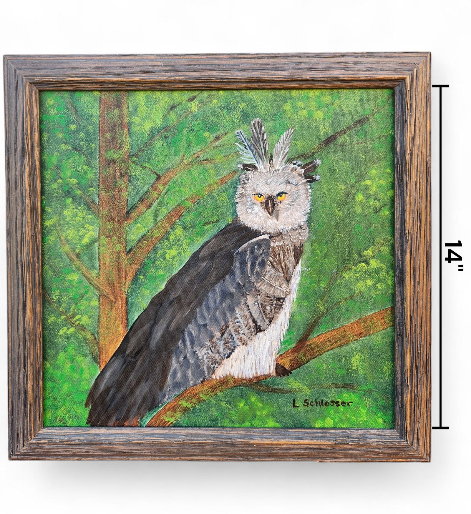 Harpy Eagle Owl Oil Painting, signed L.Schlosser: Harpy Eagle Owl perched on a branch oil painting, signed L.Schlosser. Realistic painting with a folk art feeling. Height 14" Width 14"