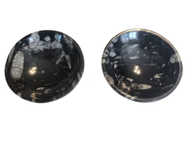 Orthoceras Fossil Stone Set of 2