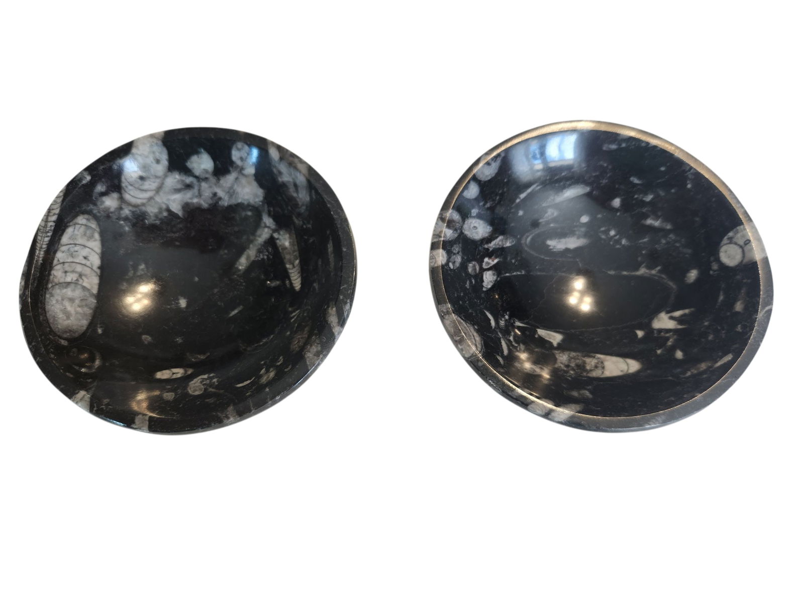 Orthoceras Fossil Stone Set of 2: Orthoceras Fossil Stone Set of 2 Width 4.5"