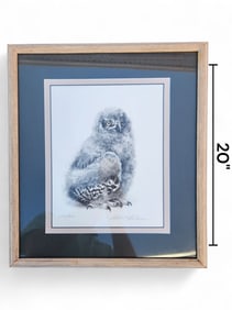 Young Snowy Owl Lithograph, Signed Bateman