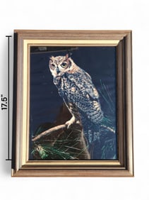 Great Horned Owl Photograph, dated 1976
