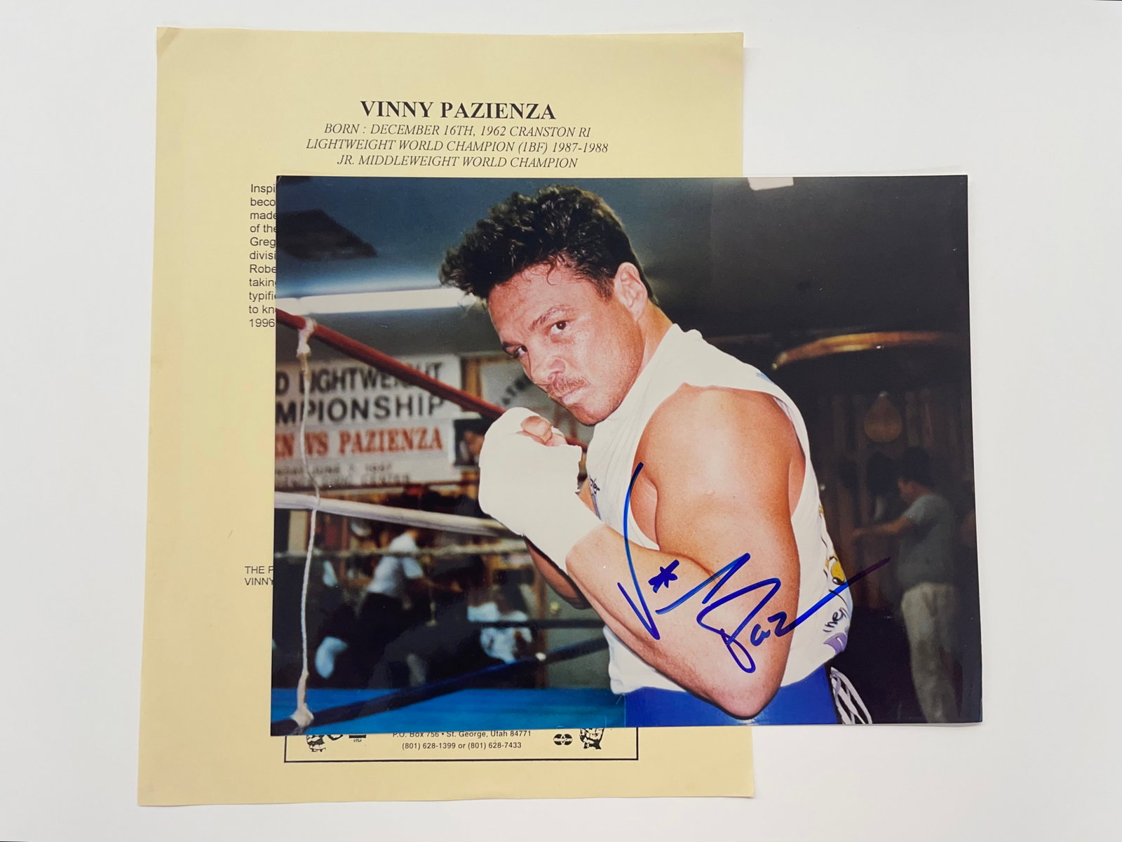 Vinny Pazienza Signed 8x10 Boxing Photo with COA: Vinny Pazienza Signed 8x10 Boxing Photo with COA signed Jim Stinson. Lightweight World Champion (IBF) 1987-88; Jr. Middleweight World Champion