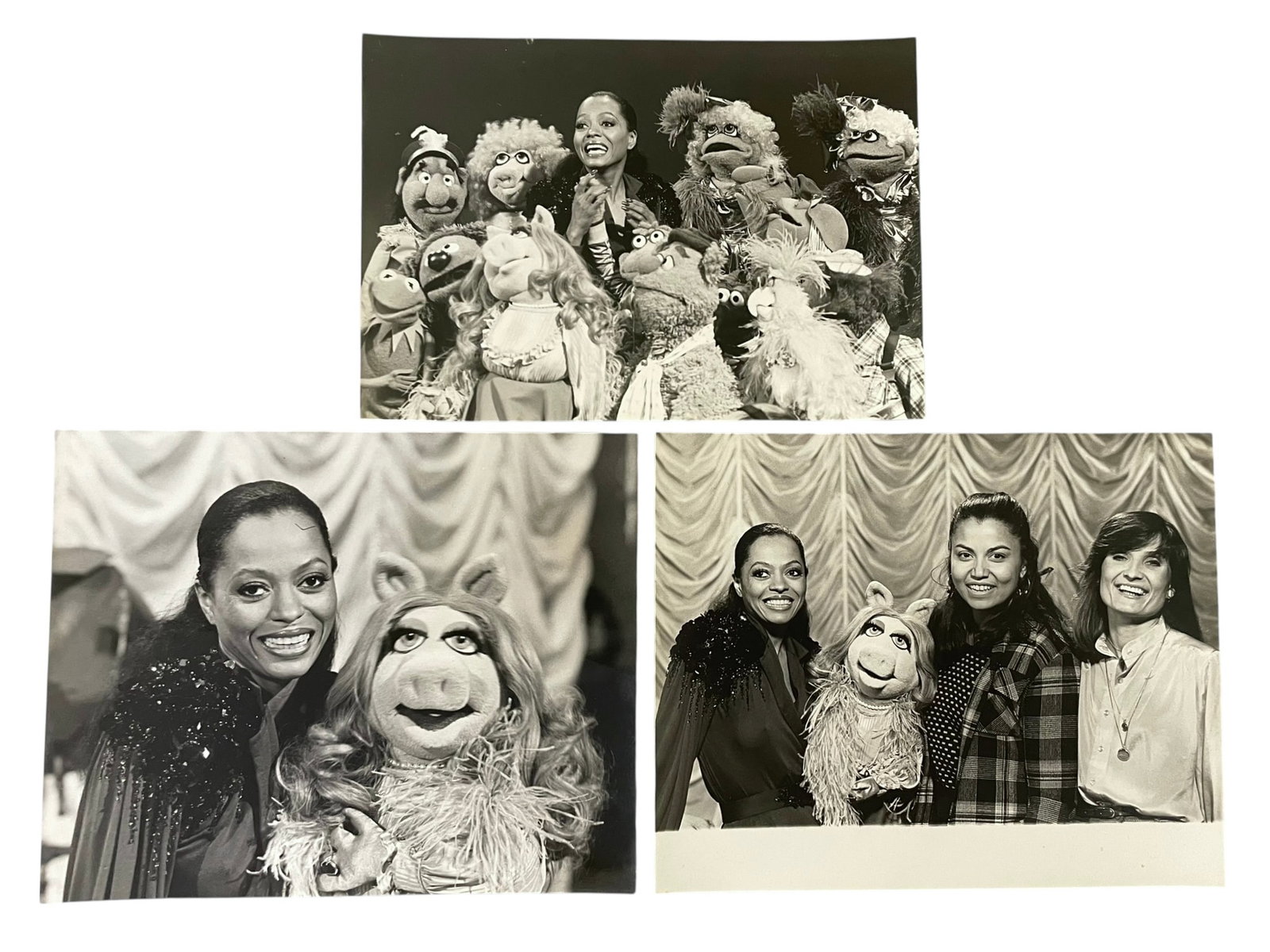 3 Diana Ross Sesame Street Photos: 3 Diana Ross Sesame Street Photos. Featuring Miss Piggy and a crowd of Muppets. Two are 8" x 10" and one is 7" x 10" Two are glossy; one is matte.