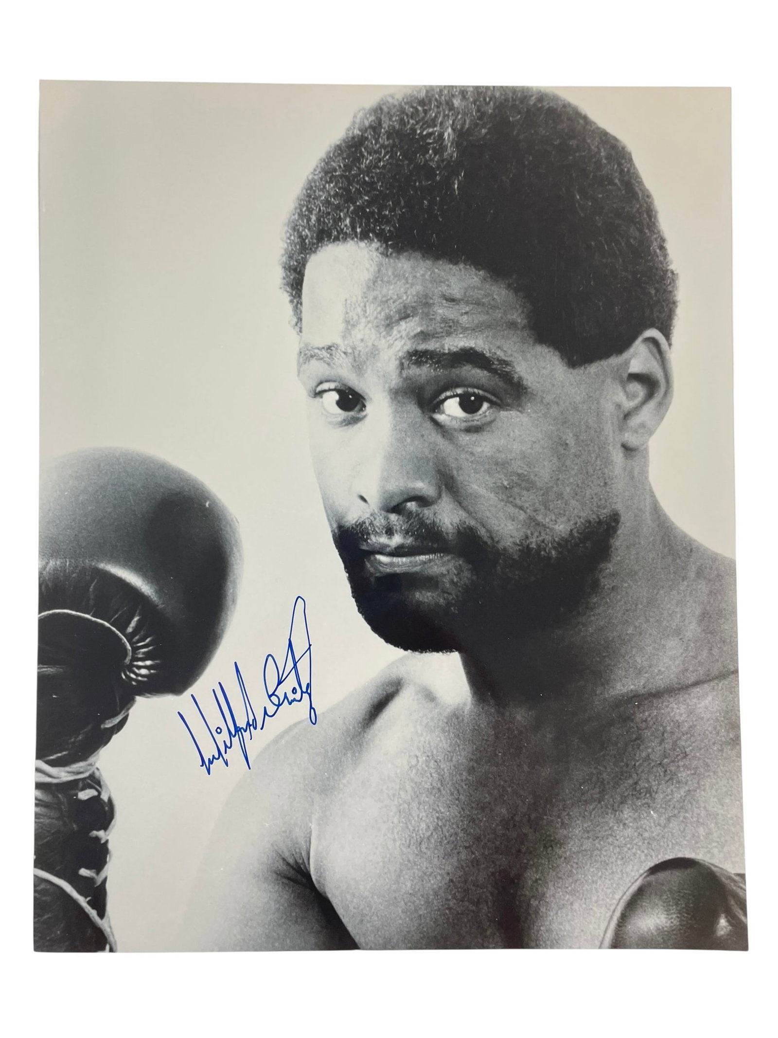 Wilfred Benetiz Signed 8x10 Boxing Photo (1 of 3)