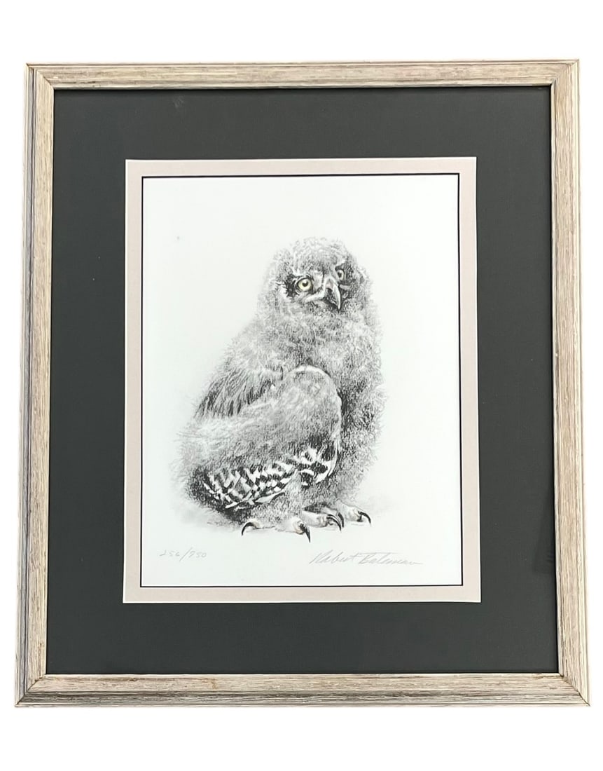Young Snowy Owl Lithograph by Robert Bateman, Signed and Numbered (1 of 6)