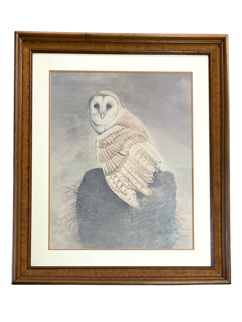Robert White Lithograph of a Barn Owl, Framed: Robert White Lithograph of a Barn Owl, Framed Height 28" Width 23"
