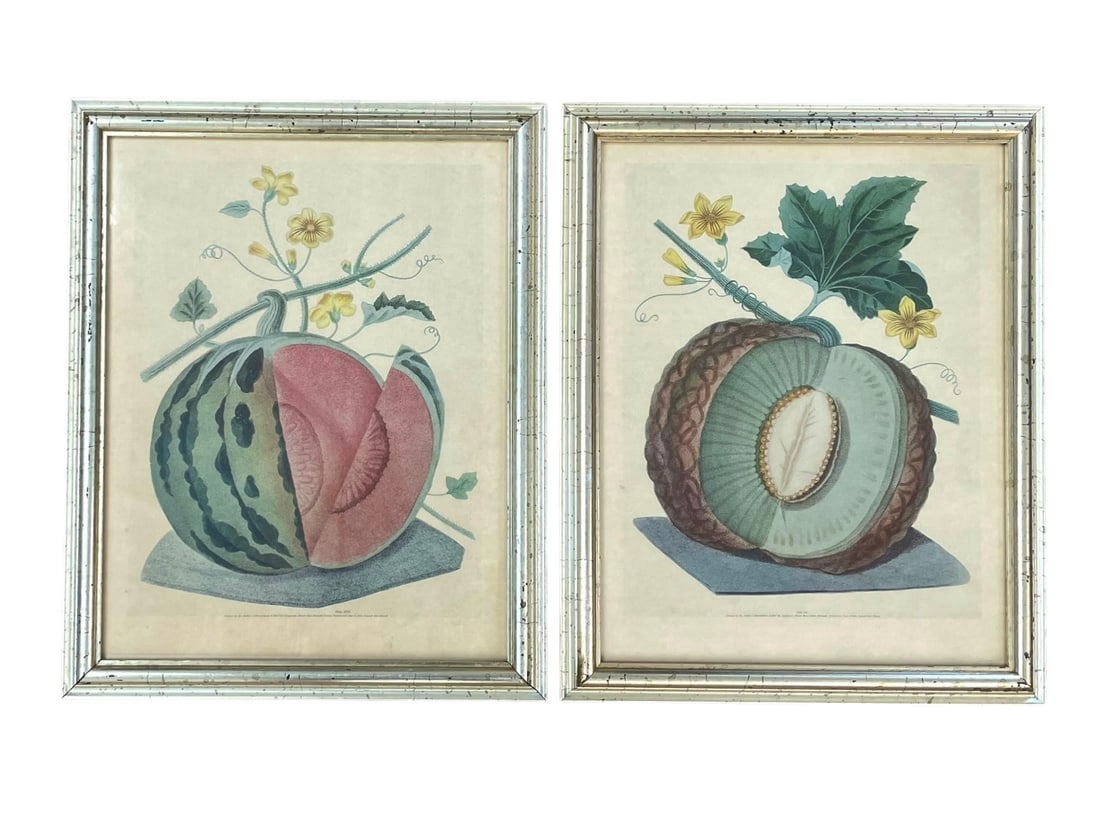 Pair of Antique George Brookshaw English Melon Prints (1 of 6)