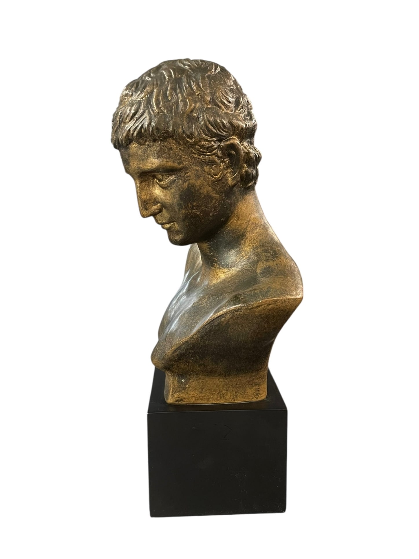 Augustus Caesar Bust, 12' - 2
