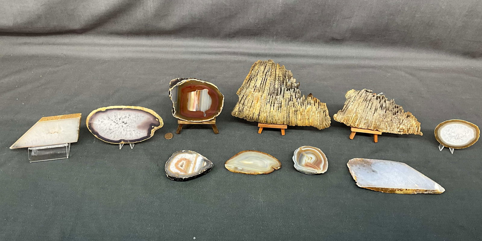 Thick Cut Slab Specimens, Coral, Agate (1 of 8)