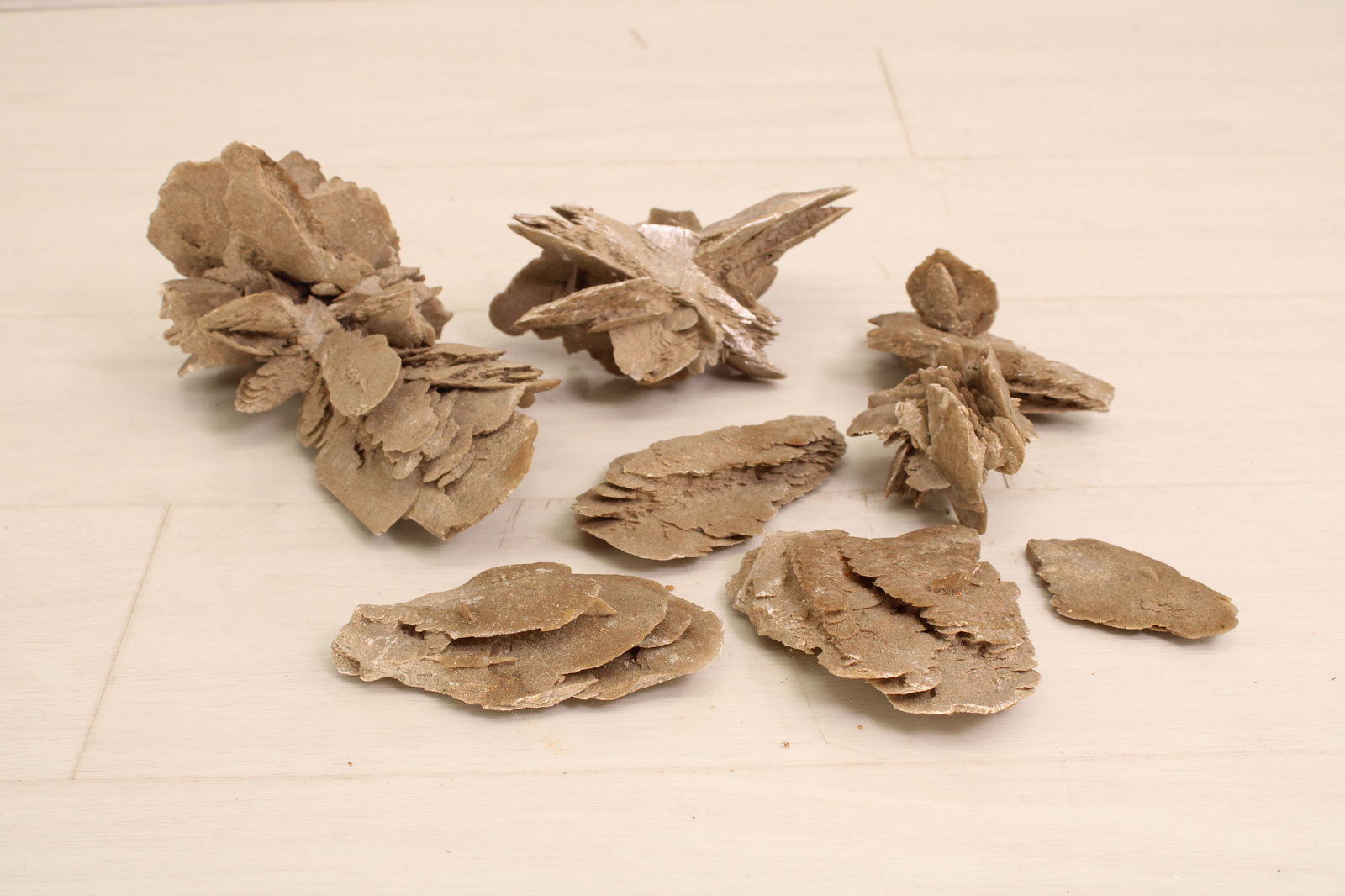 Desert Rose Mineral Specimens (1 of 6)