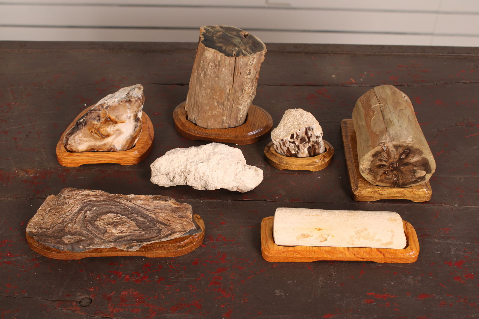 Petrified Wood Specimens (1 of 16)