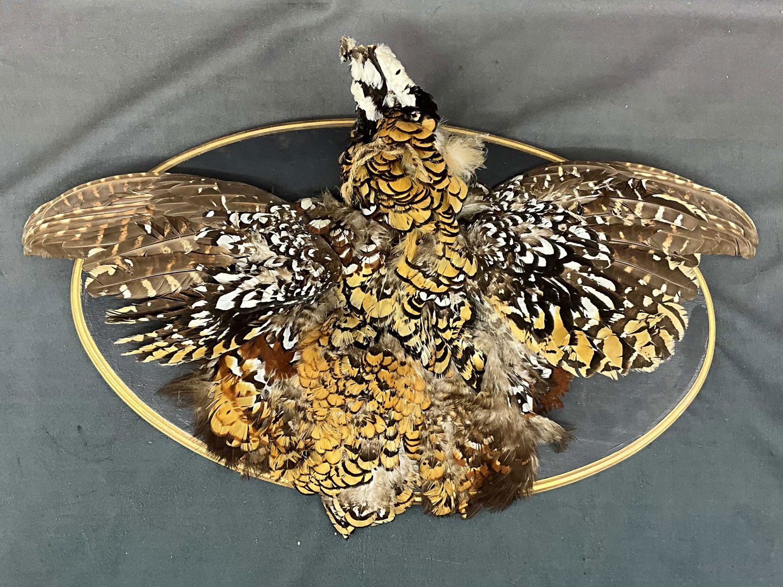 Grouse Hunting Trophy Mount (1 of 10)