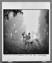 Arthur Tress (1940- ) Signed 1996 Groom and the White Arabian 7.5"x7.5" Photograph