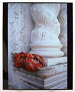 Jeffrey Becom (1953- ) Signed 1992 Baroque Column - Guatemala 13"x19.5" Photograph #3/25