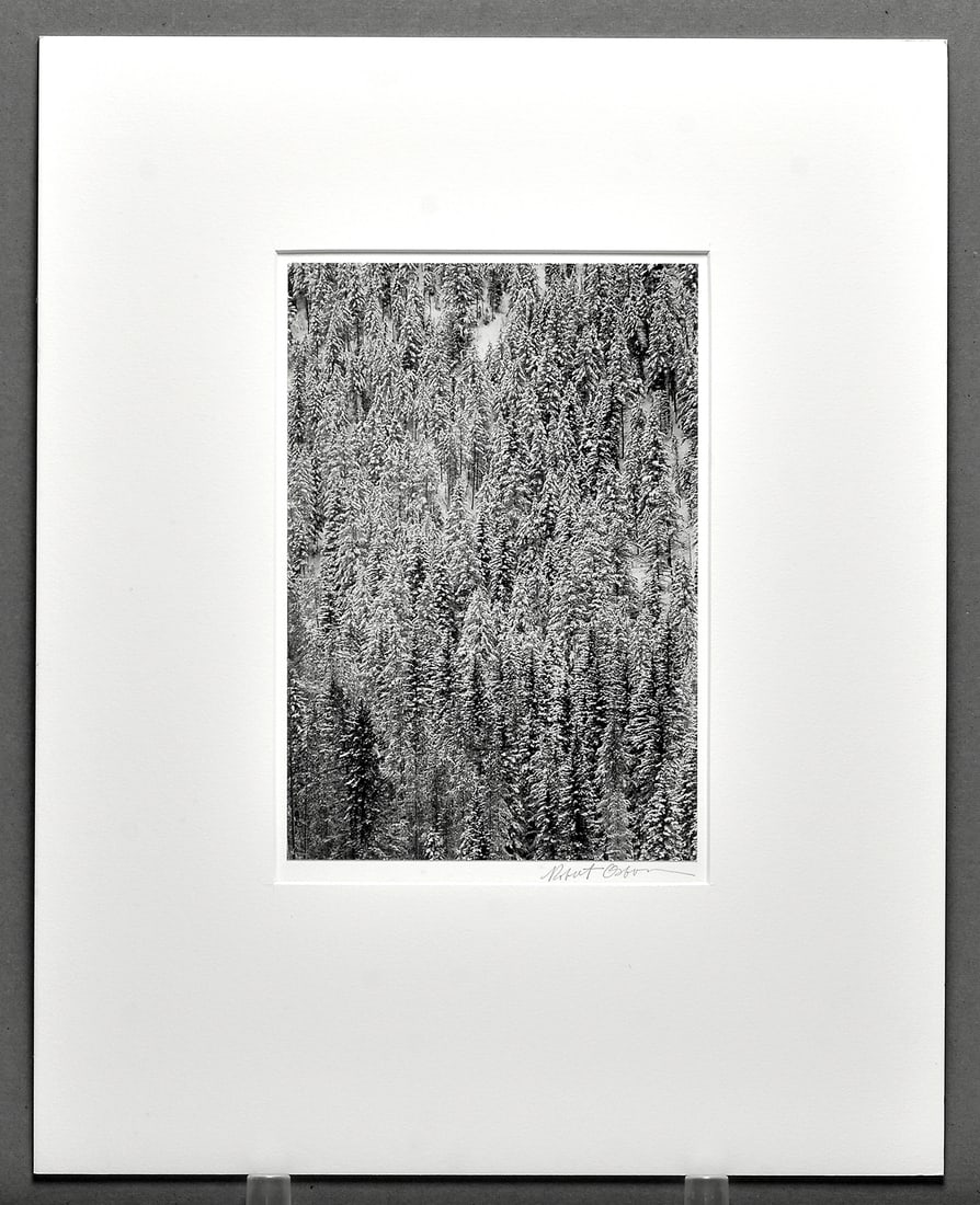 Robert Osborn (1938 - ) Signed Snow Covered Trees on Hillside 10.25"x7.25" Photograph (1 of 2)