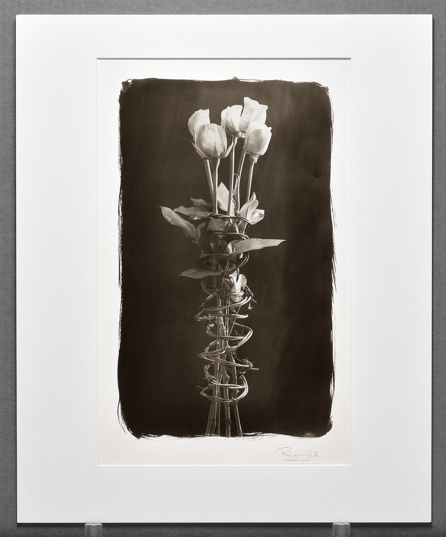 Ryuijie (1950 - ) Signed Rare Oversized Rose and Barbed Wire 15"x9" Platinum Photograph (1 of 1)