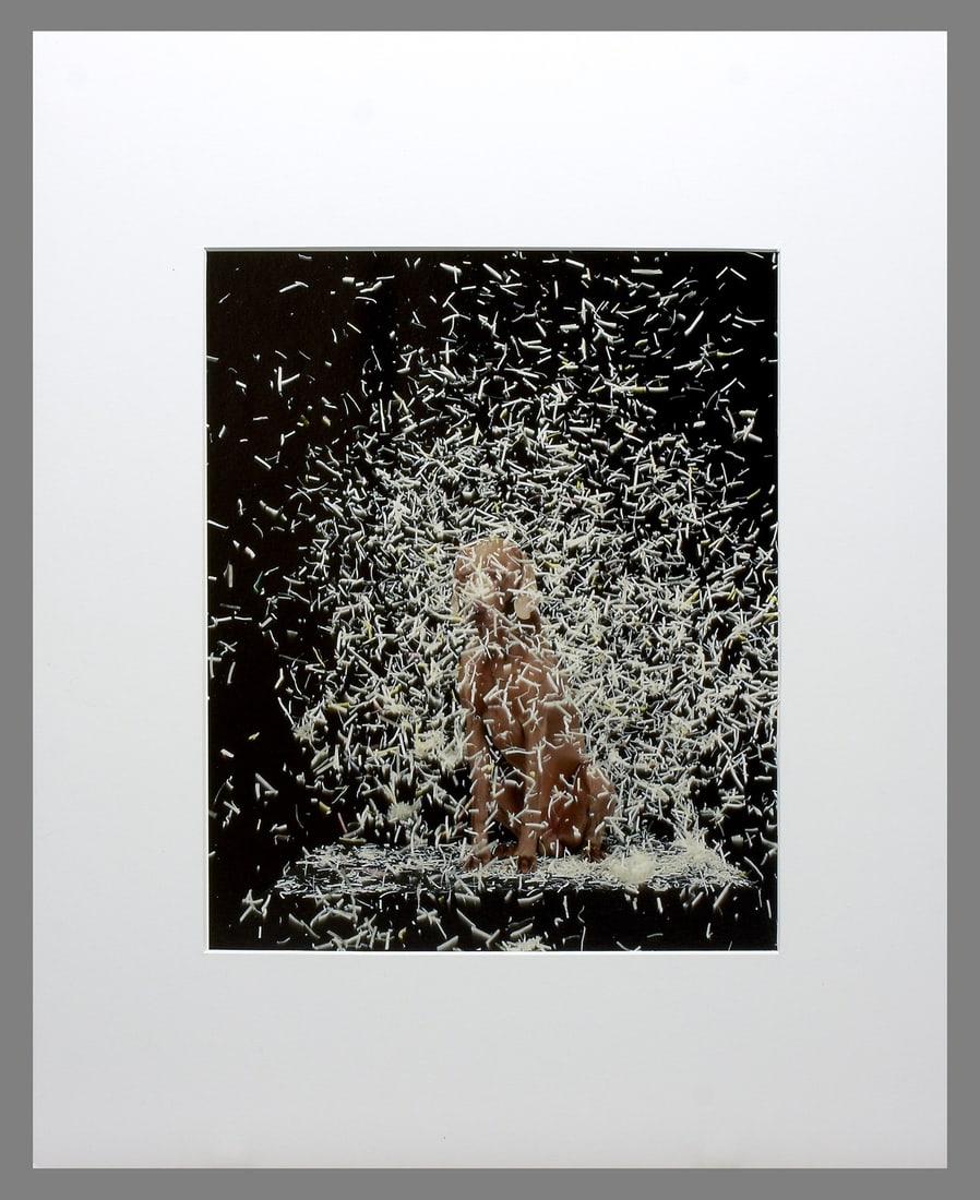 William Wegman (1943 - ) Signed 2003 Blizzard 12"x10" Photograph - Sold Out!! (1 of 4)