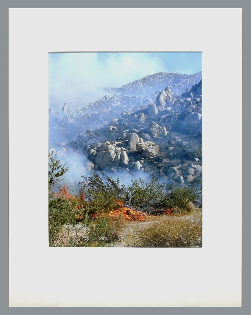 Gregory Halpern (1977 - ) Signed 2014 "Untitled" Landscape 12"x9.5" Photograph #35 of 50: Purchased for $300.00 back in 2016 I see Gregory Halpern books online with asking prices for over $400.00, his photographs must sell for at least that today? Archival Pigment Photograph Signed on the