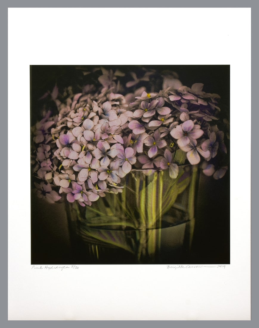 Brigitte Carnochan (1941 - ) Signed 2014 Pink Hydrangea 14"x14" Photograph #5 of 50 (1 of 2)