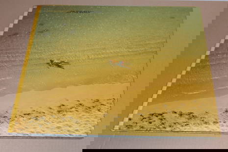 Richard Misrach (1949 - ) Signed On the Beach - Oversized Hardcover Book: Signed!! You'll see this book online with asking prices higher than my auction starting priceSigned as shown First Edition Acetate Dust Jacket. 80 pages, 38 color illustrations. Designed by Fabio Cutr