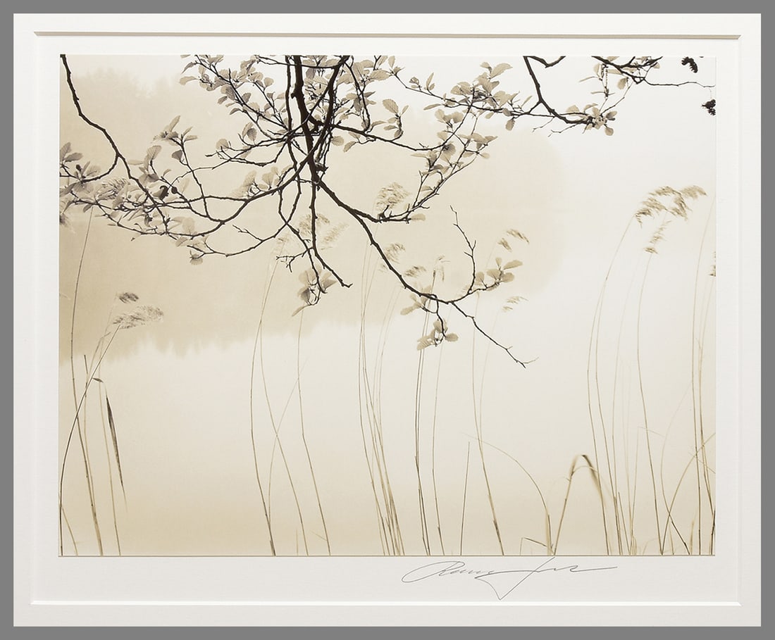 Roman Loranc (1956 - ) Signed 2005 Alder in Spring 9.5"x12.5" Photograph - Classic Loranc!!: No Reserve!! Originally purchased for much more than our starting price! Showing sold-out on Roman's website. If you can find one in a gallery I'm sure they would be asking over $1,200.00 for it. Roma