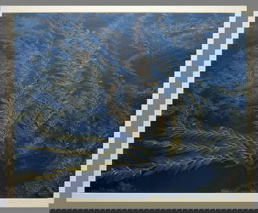 Christopher Burkett (1951 - ) Signed 1992 Kelp & Sea Point Lobos California 18.5"x23" Photograph: $1,500.00 elsewhere online!! Original Cibachrome Photograph Signed on the mat under the image and again on the back with title and date Corner mounted and matted with 30"x34" museum board. Taken in 19