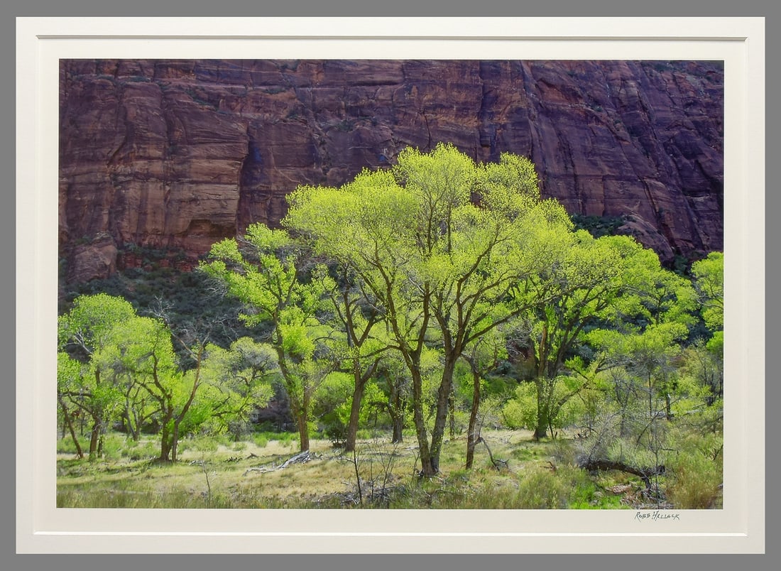 Robb Hallock Signed 2025 Rock Wall & Cottonwoods 10.5"x16" Photograph - First Printing!! (1 of 3)