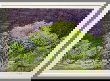 Robb Hallock Signed 2025 Rock Wall & Cottonwoods 10.5"x16" Photograph - First Printing!!: Incredible image!! The look and feel of a Christopher Burkett at a price that won't break the bank!! This image was made during a recent road trip that took Hallock through Zion National Park in Utah.