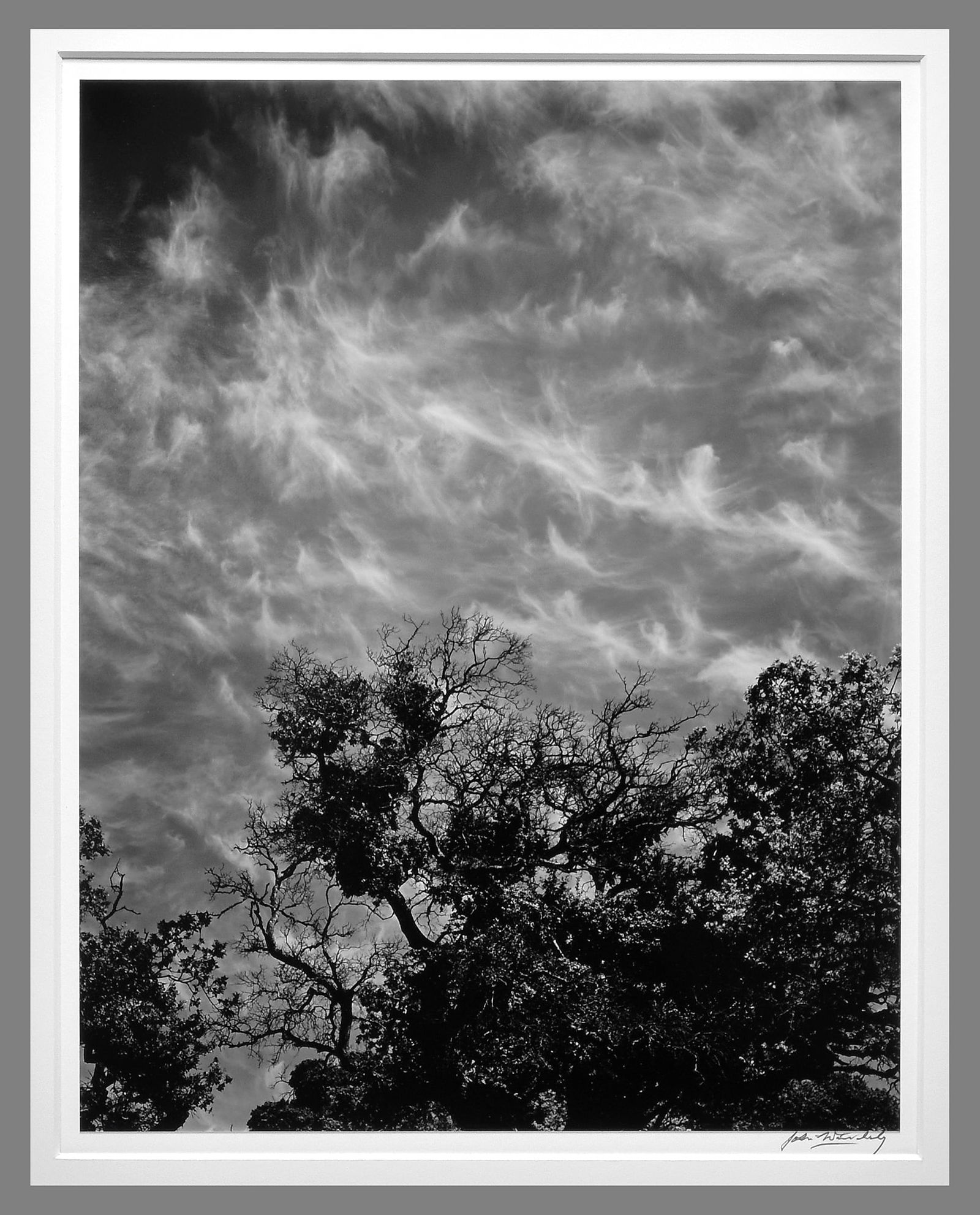 John Wimberley (1944 - ) Signed 1971 Oaks and Clouds, Coyote Hill 13.25"x10.25" Photograph (1 of 3)
