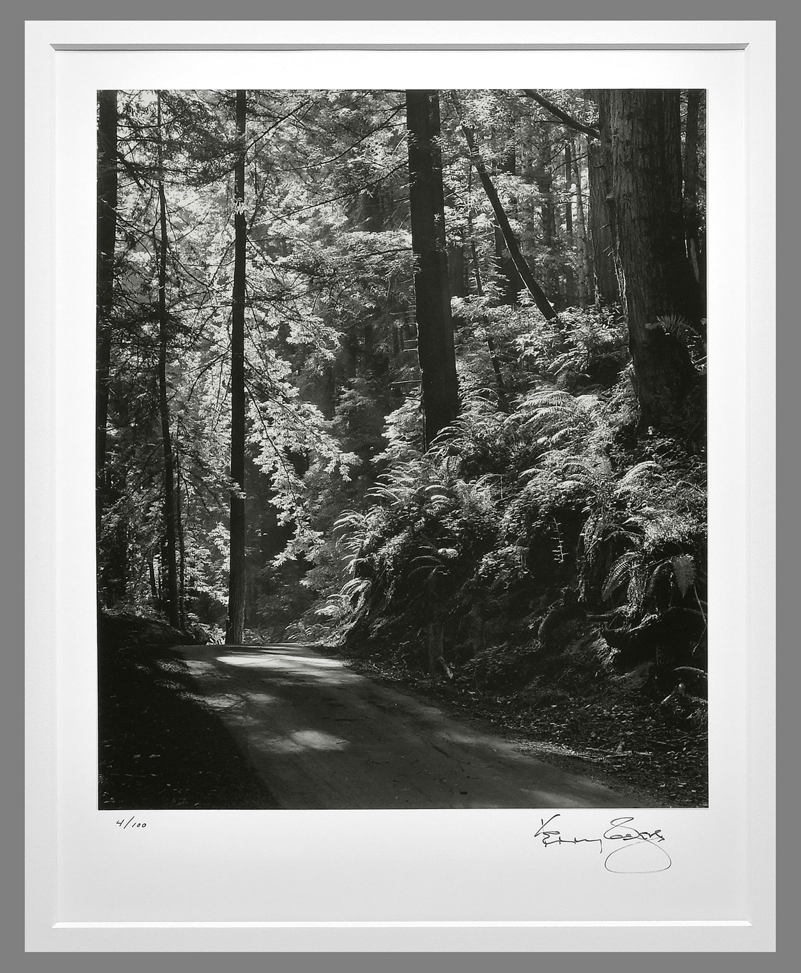 Kenny Rogers (1938 - 2020) Signed Cove Butano State Park 13"x11" Photograph Mentored by John Sexton (1 of 2)