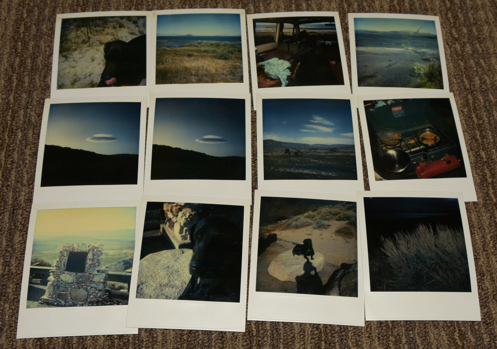 Jeff Nixon (1952 - 2022) Sixty (60) Original Polaroid SX-70 Photographs - Personal Collection: I noticed on Liveauctioneers a large auction of Polaroids on June 10, 2025. Many are being offered at $100.00 each, some even over $500.00!! This auction you are getting not one, but SIXTY (60) origin
