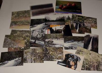Jeff Nixon (1952 - 2022) May 1998 Kodak 3.5"x5" (24) Photographs & Negatives - Ansel Adams Gallery: Unique storage find Twenty-four (24) Original 1998 Jeff Nixon snap-shots of Yosemite Found in Jeff Nixon's storage back in 2022 was this roll of Kodak processed color negatives and photos. All 24