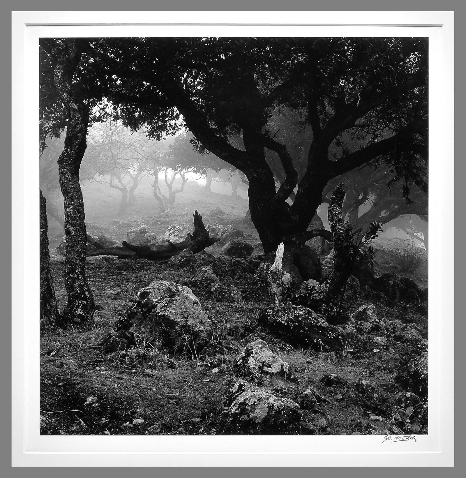 John Wimberley (1944 - ) Signed 1975 Coyote Hill Oversized 15" x15" Photograph (1 of 3)