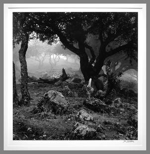 John Wimberley (1944 - ) Signed 1975 Coyote Hill Oversized 15" x15" Photograph: Gelatin silver photograph. Taken in 1975, printed in 2015 Edition #3, print #5, a best seller!! John Wimberley, a master of the darkroom, stopped printing his iconic photographs 5 or 6 years ago,