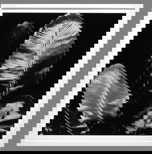 Brett Weston (1911 - 1993) Signed 1979 Tropical Leaves - Hawaii 10.5"x10.25" Photograph - Nice!!: An early image of Brett's Hawaii photographs. I'm guessing less than five were ever printed, mounted, and signed Brett Weston first began photographing in Hawaii in 1978, this is a very early example