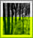 item-208919155=1