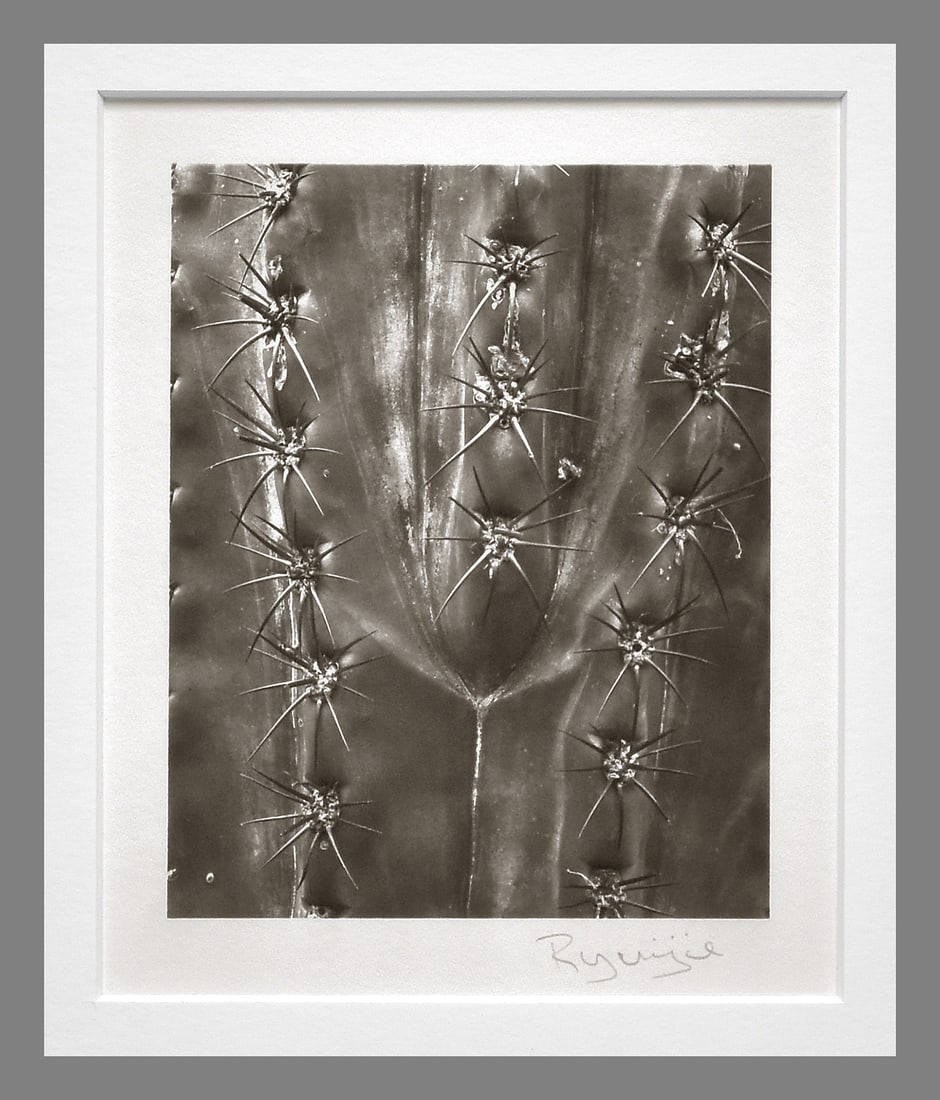 Ryuijie (1950 - ) Signed 1996 Cactus Detail 5"x4" Platinum Photograph #8/25 - No Reserve Auctions!! (1 of 2)