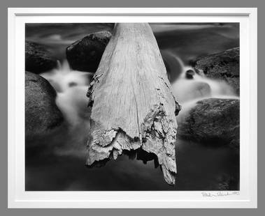 Patrick Jablonski (1963 - ) Signed 1992 Floating Log 8"x9.75" Photograph: Patrick Jablonski has been out of the spot life in recent years, but his photographs will shine forever. Jablonski's retail price for this size photograph was $500.00 over 15 years ago!! Gelatin silve