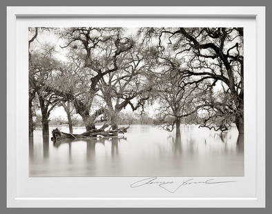 Roman Loranc (1956 - ) Signed 2016 Pulsing River 6"x9" Photograph - Classic Loranc!!: No Reserve!! Roman has stopped printing darkroom made photographs. Gelatin silver photograph Taken in 2016, printed in 2017 Mounted to 16"x20" museum board, signed under the image, and again on the ba
