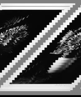 Paul Caponigro (1932 - 2024) Signed 1969 Sunflowers - New York 12"x9.75" Photograph  #51/75: At local galleries in Carmel they have Caponigro's this size priced in the $2,000.00 area to over $3,500.00!! Gelatin Silver Photograph Signed under the image, mounted and matted with 18"x22" museum b