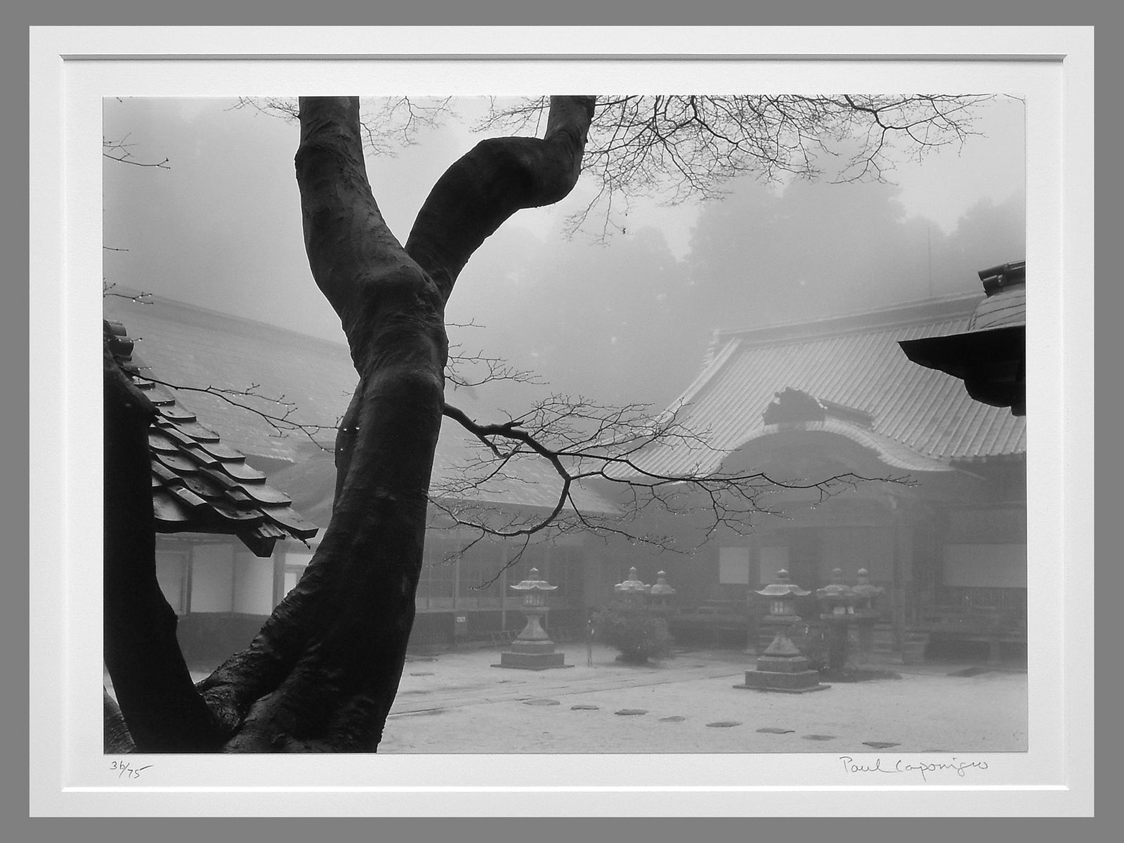 Paul Caponigro (1932 - 2024) Signed 1976 Black Tree &Temple, Kyoto Japan 13"x9.5" Photograph  #36/75 (1 of 3)