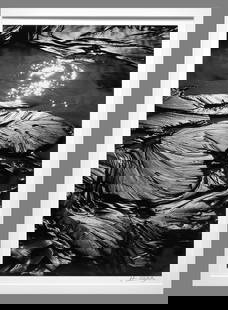 John Wimberley (1944 - ) Signed 1988 Salt Creek #20 13.5"x9" Photograph - Classic Wimberley!!: The look and feel of a $3,500.00 Brett Weston!! John Wimberley stopped printing in the darkroom a few years back...his custom darkroom made photographs are now getting harder to find. Good luck findin