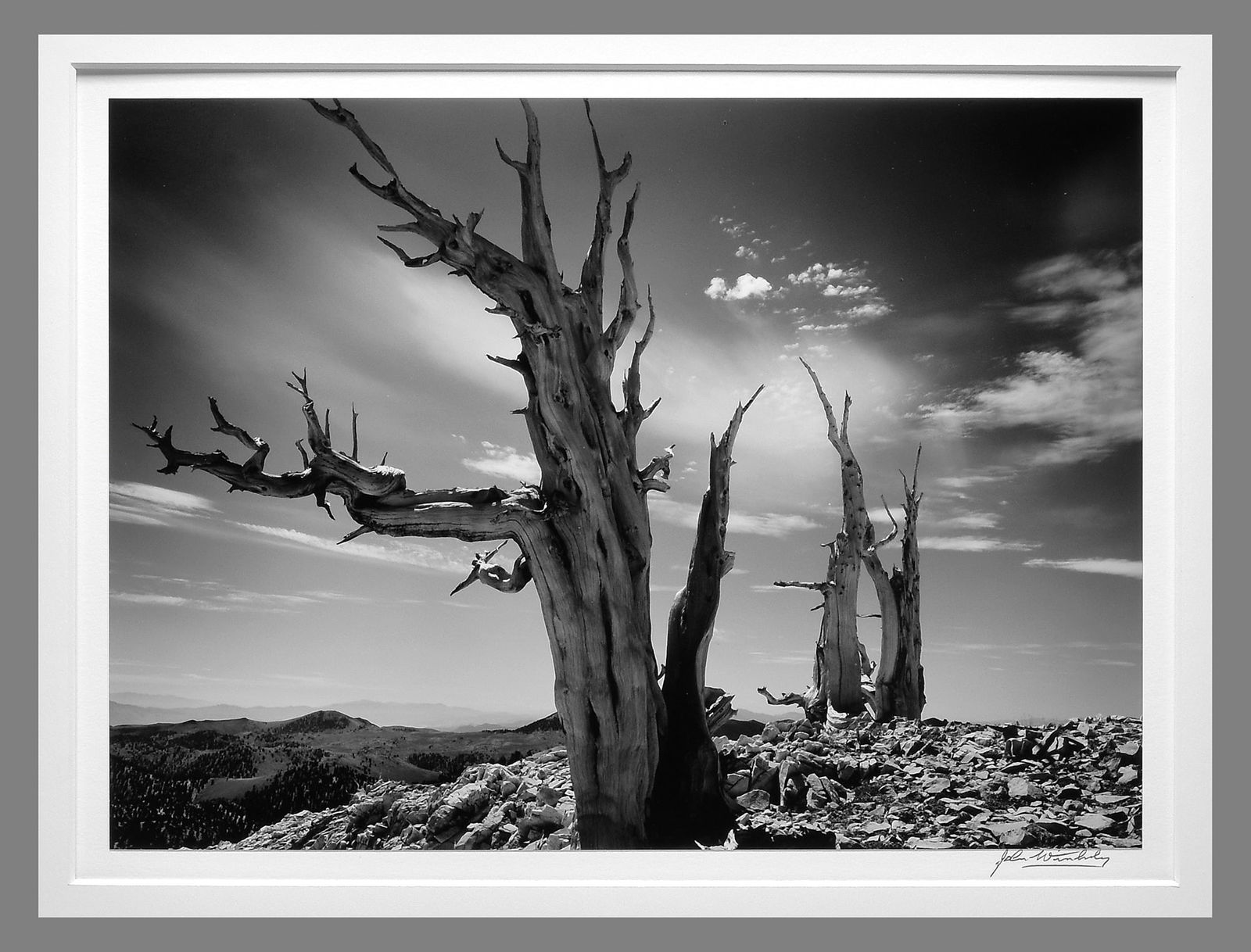 John Wimberley (1944 - ) Signed 1991 Campito Mountain #61 9.75"x13" Photograph - Classic Wimberley!! (1 of 3)