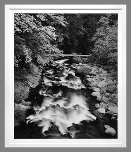 Henry Gilpin (1922 - 2011) Signed 1989 Deer Creek Yosemite 13"x10.5" Photograph Blue Chip Gilpin: One of Gilpin's "Top Five" classic photographs!! Gelatin silver photograph Signed under the image, stamped on the back of the mount as shown Mounted and matted with 16"x20" museum board, with frame Ta